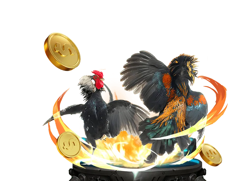 Khuyến mãi vip 66 mới nhất